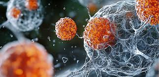 Mengapa Gerakan Rutin Penting bagi Kesehatan Tubuh