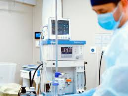 Peran Nutrisi Seimbang dalam Menopang Kesehatan Sehari-Hari